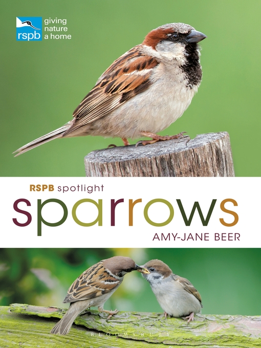 Title details for RSPB Spotlight Sparrows by Amy-Jane Beer - Available